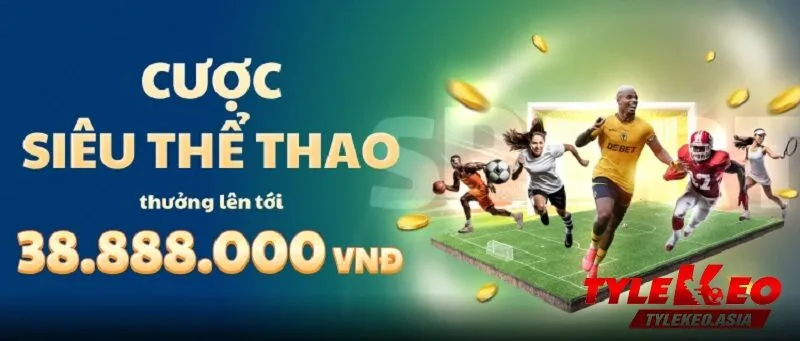 Nhà Cái Zbet | Khám Phá Tỷ Lệ Kèo Hấp Dẫn và Uy Tín Hàng Đầu Hướng dẫn soi kèo cho người chơi