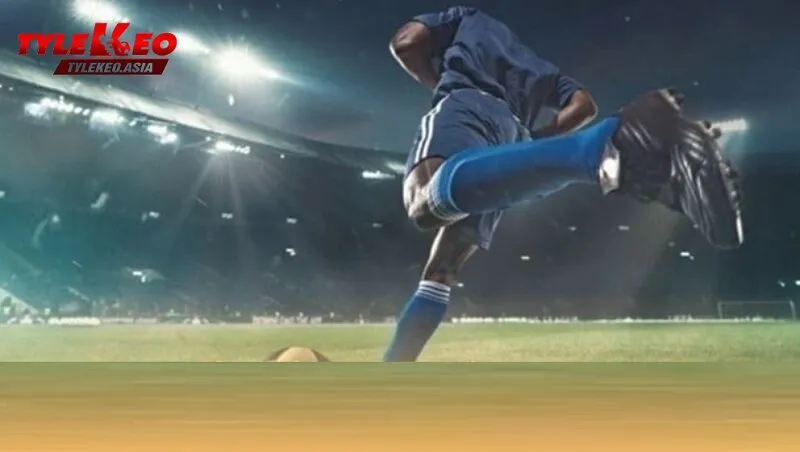 Một số yếu tố ảnh hưởng đến Soi keonhacai