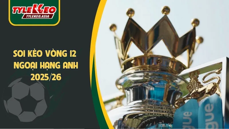 Soi kèo tổng số bàn đại chại Liverpool - Brentford Dự đoán đúng hơn và nghiên cứu và phân tích cẩn thận